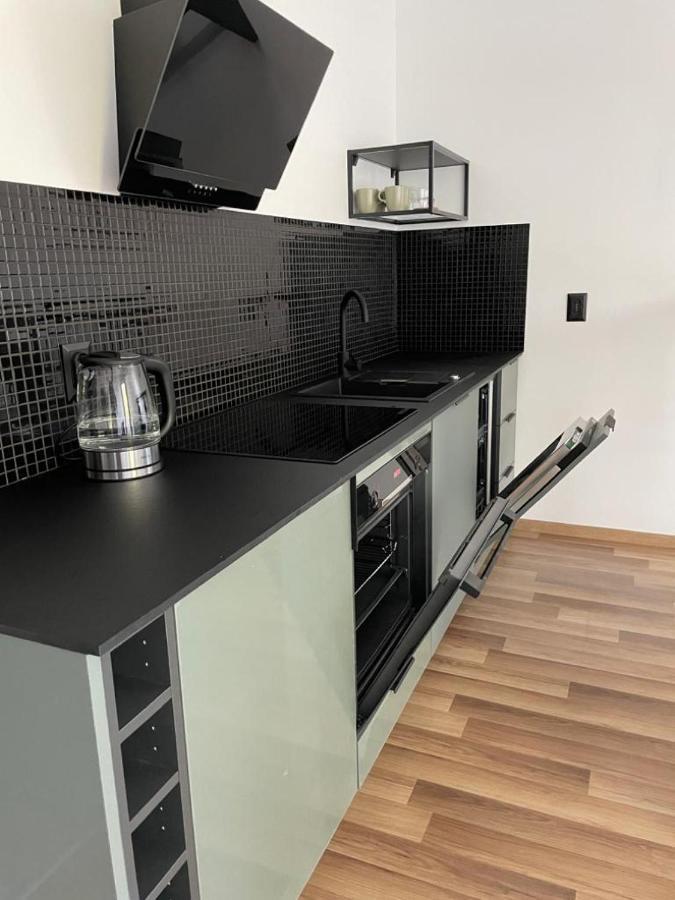 Apartament-Studio Parkowa 格丁尼亚 外观 照片